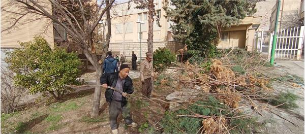 ساماندهی فضای سبز بیمارستان